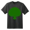 Dry Zone™ Short Sleeve Raglan T Shirt Thumbnail