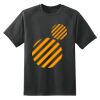 Dry Zone™ Short Sleeve Raglan T Shirt Thumbnail