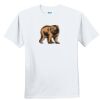 Youth Ultra Cotton ® 100% Cotton T Shirt Thumbnail