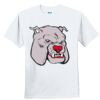 Youth Ultra Cotton ® 100% Cotton T Shirt Thumbnail