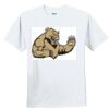 Youth Ultra Cotton ® 100% Cotton T Shirt Thumbnail