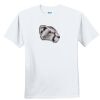 Youth Ultra Cotton ® 100% Cotton T Shirt Thumbnail