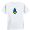 Youth Ultra Cotton ® 100% Cotton T Shirt Thumbnail
