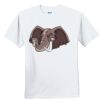 Youth Ultra Cotton ® 100% Cotton T Shirt Thumbnail