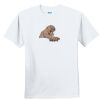 Youth Ultra Cotton ® 100% Cotton T Shirt Thumbnail