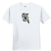 Youth Ultra Cotton ® 100% Cotton T Shirt Thumbnail
