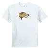 Youth Ultra Cotton ® 100% Cotton T Shirt Thumbnail