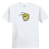 Youth Ultra Cotton ® 100% Cotton T Shirt Thumbnail