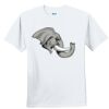 Youth Ultra Cotton ® 100% Cotton T Shirt Thumbnail