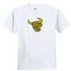Youth Ultra Cotton ® 100% Cotton T Shirt Thumbnail