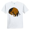 Youth Ultra Cotton ® 100% Cotton T Shirt Thumbnail