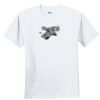 Youth Ultra Cotton ® 100% Cotton T Shirt Thumbnail