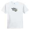 Youth Ultra Cotton ® 100% Cotton T Shirt Thumbnail