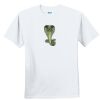 Youth Ultra Cotton ® 100% Cotton T Shirt Thumbnail
