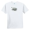 Youth Ultra Cotton ® 100% Cotton T Shirt Thumbnail