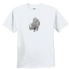 Youth Ultra Cotton ® 100% Cotton T Shirt Thumbnail