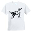 Youth Ultra Cotton ® 100% Cotton T Shirt Thumbnail