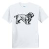 Youth Ultra Cotton ® 100% Cotton T Shirt Thumbnail