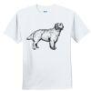 Youth Ultra Cotton ® 100% Cotton T Shirt Thumbnail