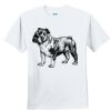 Youth Ultra Cotton ® 100% Cotton T Shirt Thumbnail