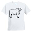 Youth Ultra Cotton ® 100% Cotton T Shirt Thumbnail