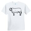 Youth Ultra Cotton ® 100% Cotton T Shirt Thumbnail