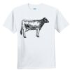 Youth Ultra Cotton ® 100% Cotton T Shirt Thumbnail