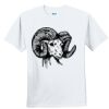 Youth Ultra Cotton ® 100% Cotton T Shirt Thumbnail