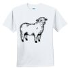 Youth Ultra Cotton ® 100% Cotton T Shirt Thumbnail