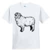 Youth Ultra Cotton ® 100% Cotton T Shirt Thumbnail