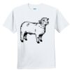 Youth Ultra Cotton ® 100% Cotton T Shirt Thumbnail