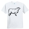 Youth Ultra Cotton ® 100% Cotton T Shirt Thumbnail