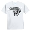 Youth Ultra Cotton ® 100% Cotton T Shirt Thumbnail