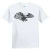 Youth Ultra Cotton ® 100% Cotton T Shirt Thumbnail
