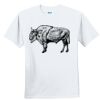 Youth Ultra Cotton ® 100% Cotton T Shirt Thumbnail