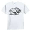 Youth Ultra Cotton ® 100% Cotton T Shirt Thumbnail