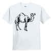 Youth Ultra Cotton ® 100% Cotton T Shirt Thumbnail