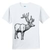 Youth Ultra Cotton ® 100% Cotton T Shirt Thumbnail
