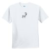 Youth Ultra Cotton ® 100% Cotton T Shirt Thumbnail