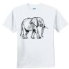 Youth Ultra Cotton ® 100% Cotton T Shirt Thumbnail