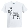 Youth Ultra Cotton ® 100% Cotton T Shirt Thumbnail