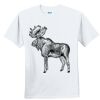 Youth Ultra Cotton ® 100% Cotton T Shirt Thumbnail