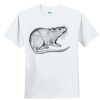 Youth Ultra Cotton ® 100% Cotton T Shirt Thumbnail