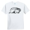Youth Ultra Cotton ® 100% Cotton T Shirt Thumbnail