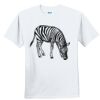 Youth Ultra Cotton ® 100% Cotton T Shirt Thumbnail